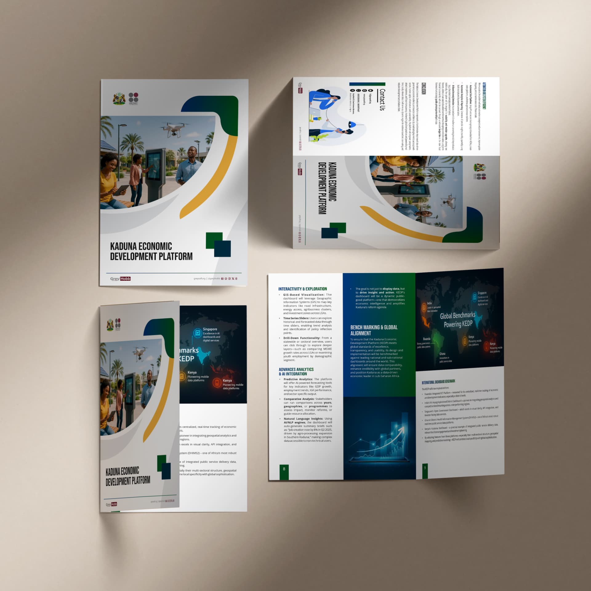 Kaduna Economic Development Platform: Report